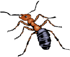 AN01328_.WMF (8486 byte)