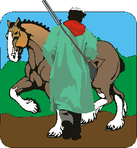 BANDIT.gif (9406 byte)