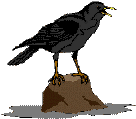 CROWT.gif (2641 byte)