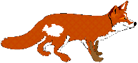 FOX3.gif (3847 byte)