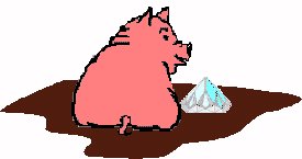 Porco brillante