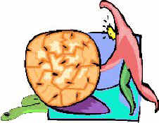 MASSERP.jpg (11665 byte)