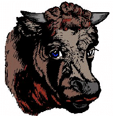 TORO.jpg (29947 byte)