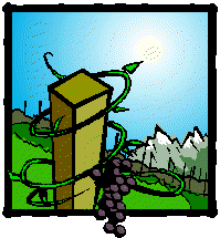 TR00388_.WMF (63094 byte)