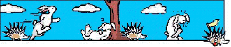 VIGNET.jpg (12740 byte)