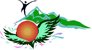 VOLO.jpg (15620 byte)
